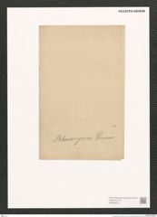 Pleurosigma sp. (de-Toni-Nr.: Genus 13) Zeichnungen Sammlung Grunow (NHMW-BOT-W0369214)